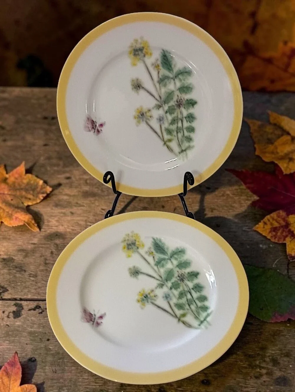 2 Williams Sonoma Flowering Herbs Salad Plates Yellow Burnet Purple Butterfly
